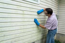 Best Storm Damage Siding Repair  in Houston, TX